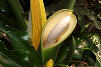 фото 473