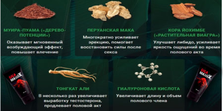 Состав