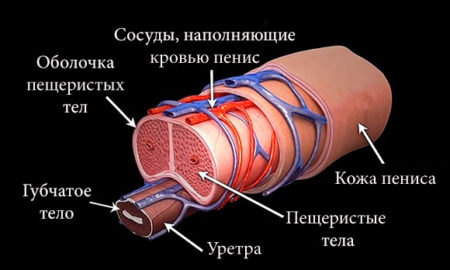 Инструкция по применению
